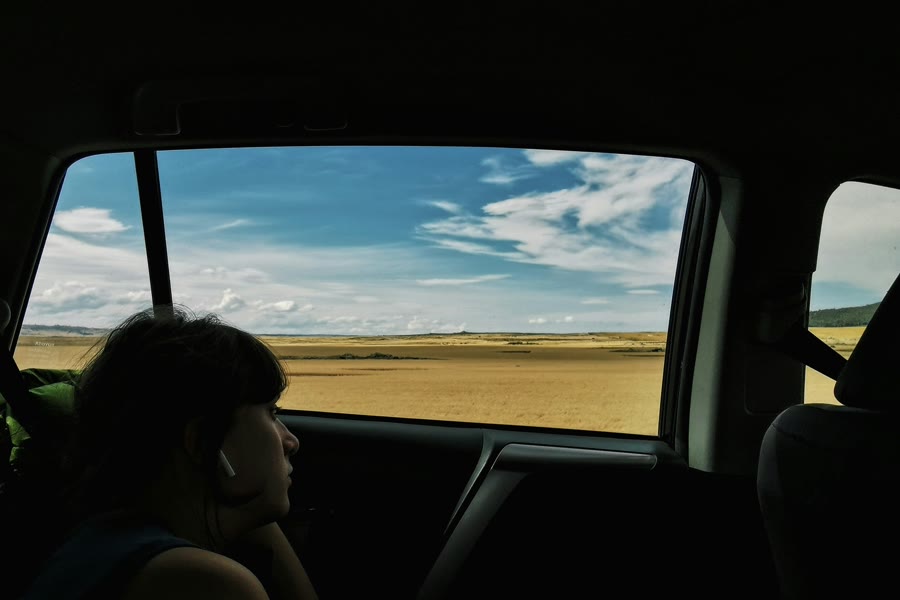 Car window tinting Butler: a passenger sitting beside a sunlit rear window