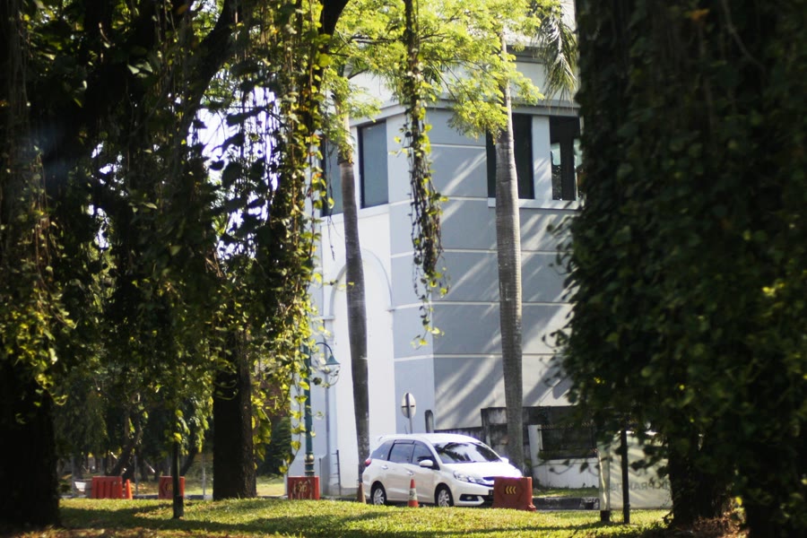 Car window tinting Guildford: a white car parked beside a modern building