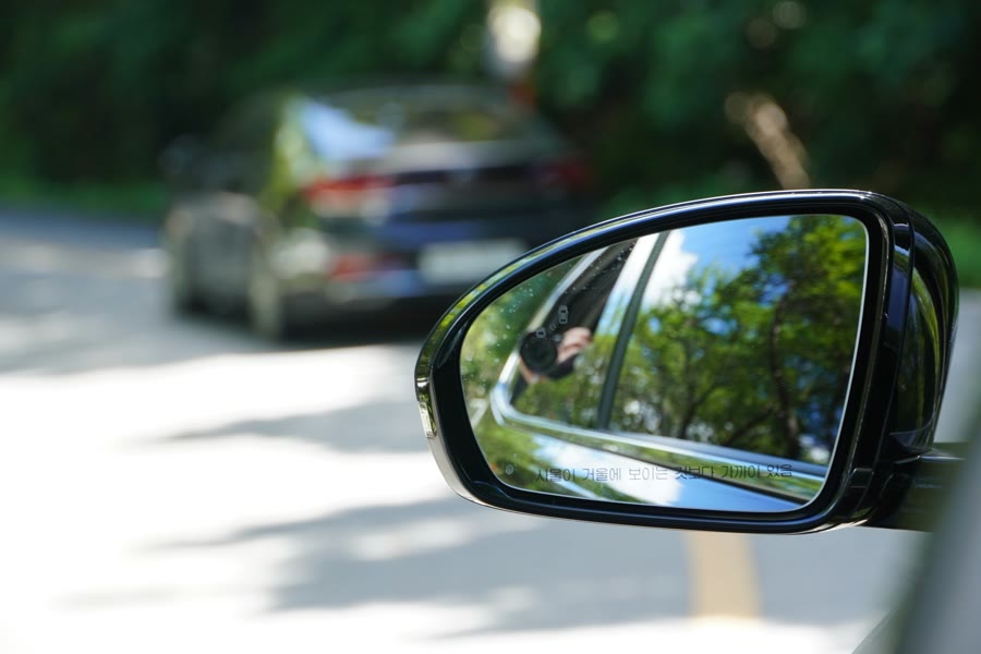 Parking under trees: a car side mirror reflecting leafy branches