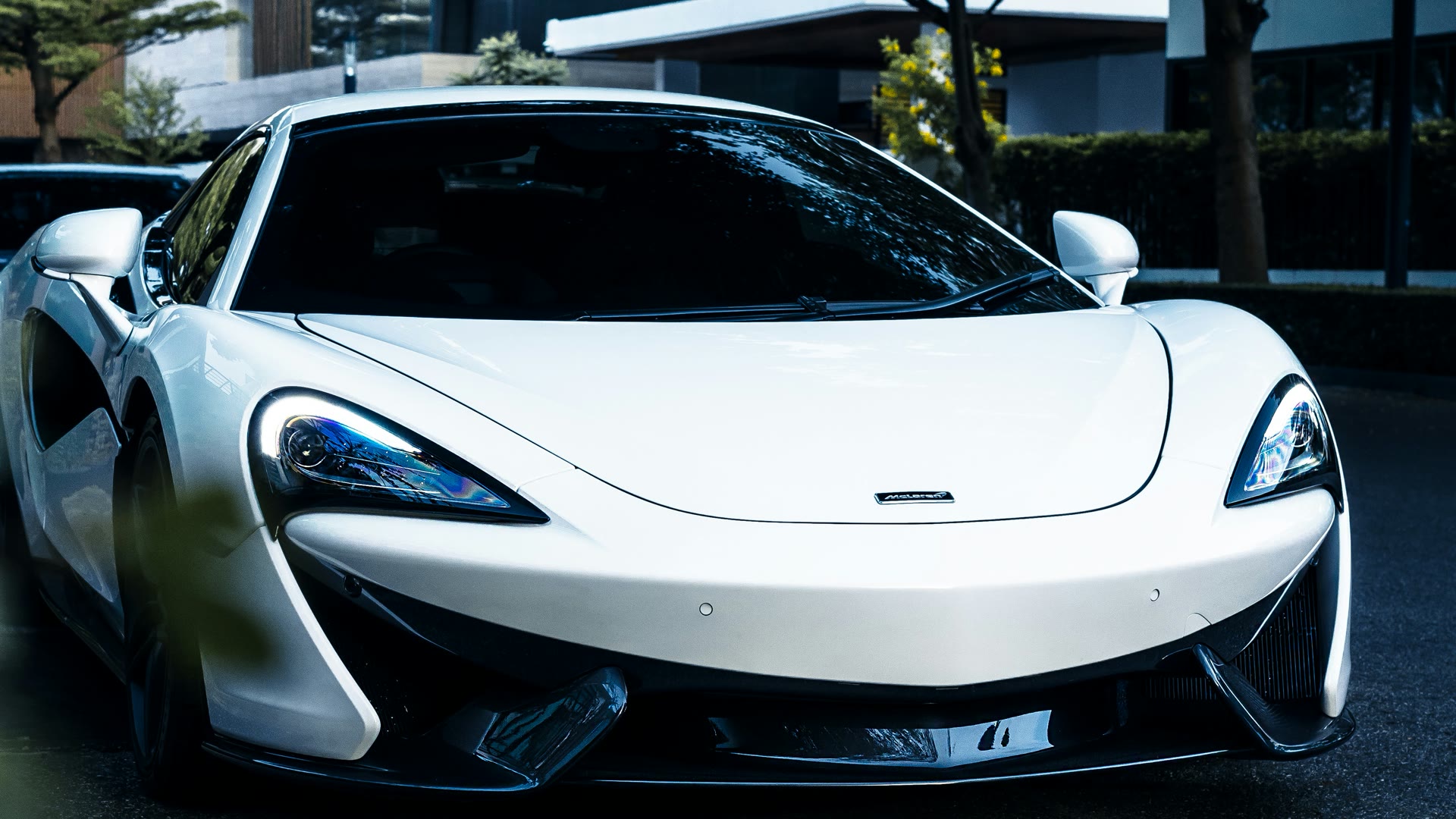 Ceramic vs carbon tint Perth: pale bodywork against dark tinted glass